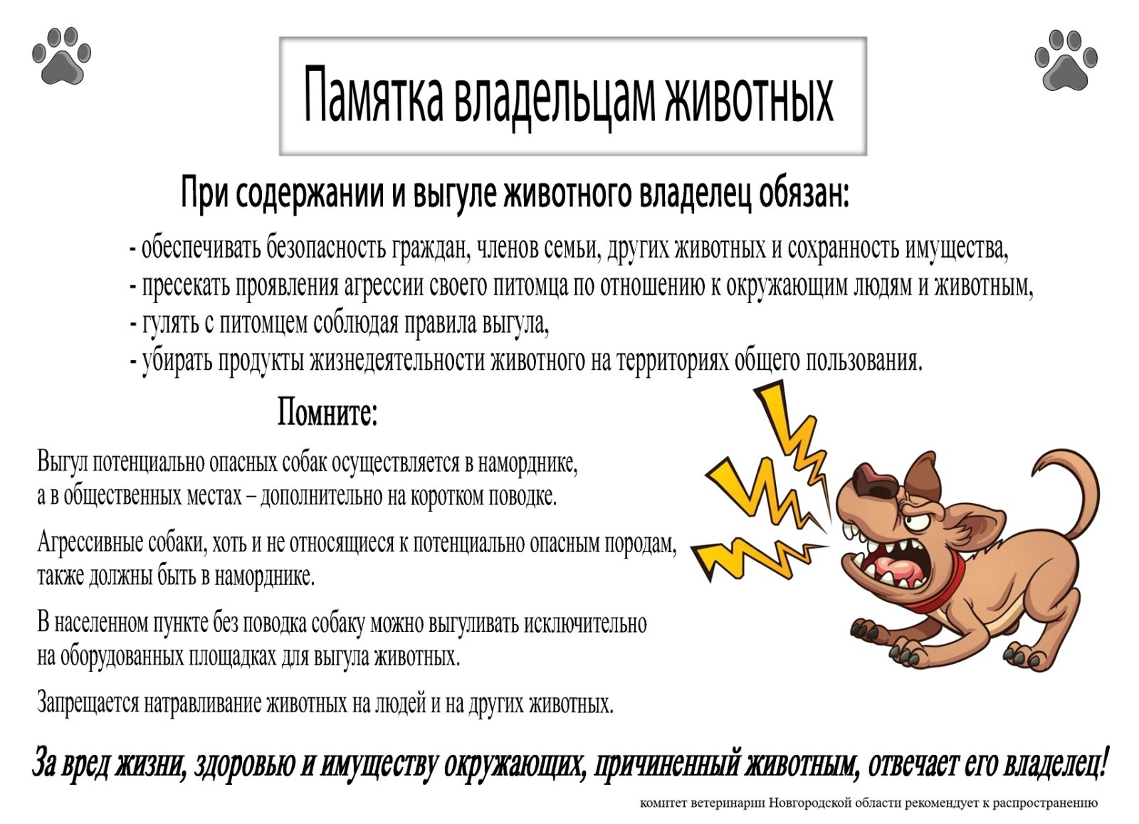 ПАМЯТКА ВЛАДЕЛЬЦАМ ЖИВОТНЫХ.